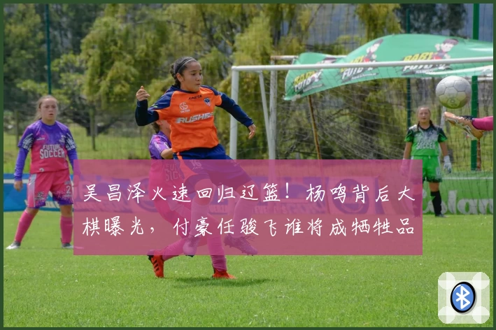 吴昌泽火速回归辽篮!杨鸣背后大棋曝光,付豪任骏飞谁将成牺牲品?