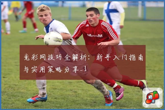 竞彩网技巧全解析：新手入门指南与实用策略分享_1