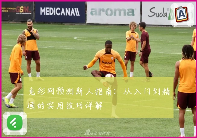 竞彩网预测新人指南：从入门到精通的实用技巧详解