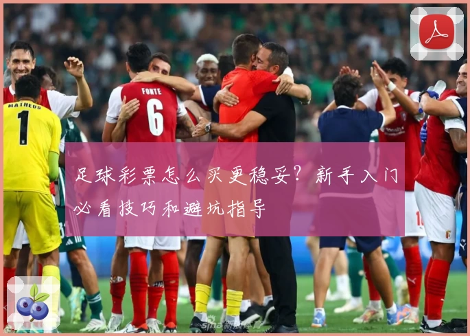 足球彩票怎么买更稳妥？新手入门必看技巧和避坑指导